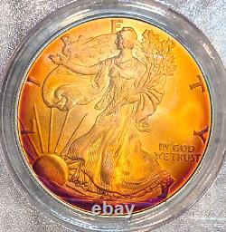 2006 PCGS MS66 Monster Rainbow Toned Silver Eagle One Oz Tequila Sunrise Colors