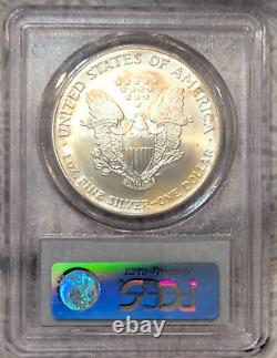 2006 PCGS MS66 Monster Rainbow Toned Silver Eagle One Oz Tequila Sunrise Colors