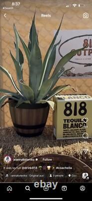 818 TEQUILA KYLIE JENNER OFFICIAL Apron Barista Bartender Pockets Barber Coffee