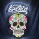 Awesome Exotico Tequila Light Up Led Skull Sign 23 X 14