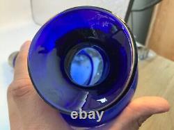 Blown Clear /Blue Glass Casta Worm Shaped Empty Pasion Tequila Decanter Bottle
