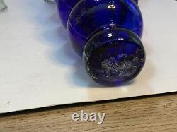 Blown Clear /Blue Glass Casta Worm Shaped Empty Pasion Tequila Decanter Bottle