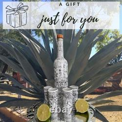 Colorful Mexican Artistry in Every Sip Hand-painted Tequila decanter & Shot