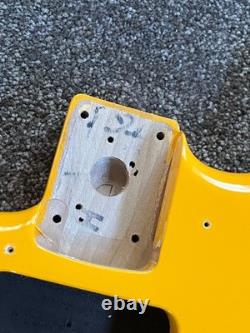Fender Player Plus Stratocaster lefty guitar body tequila sunrisem left handed
