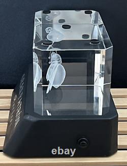Gran Patron Burdeos Tequila Light Display with Laser Etched Bee Crystal Topper