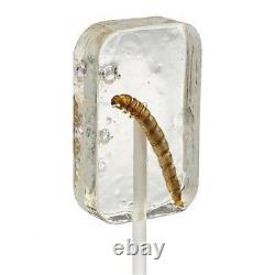 HOTLIX TEQUILA WORM POP Novelty candy Varied SHIPS FREE