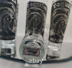 Handblown Mexican Shot Glass & Tequila Bar Set Horses Horseshoe Metal Cactus