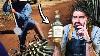 How Real Tequila Is Actually Made