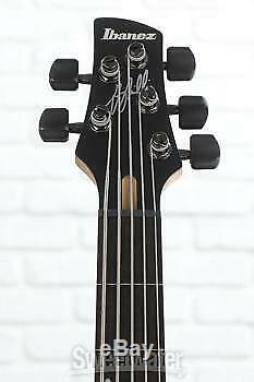 Ibanez Gary Willis Signature GWB205 Fretless Bass Guitar Tequila Sunrise Flat