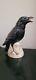 Jose Cuervo Crow Vintage Tequila Decanter, Raven Black, Made In Germany