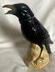Original 9-1/2 Tequila Jose Cuervo Crow Decanter #8331, Made In Germany