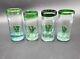 Set Of 4 Mexican Tequila Shot Glasses Handblown With Prickly Pear Cactus Inside
