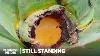 Tequila And Mezcal S Newest Rival Is Over 2 000 Years Old Still Standing Business Insider