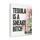 Tequila Is A Sneaky Btch Canva, Free Shipping, Tequila Decor, Tequila Party