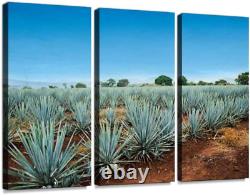 Tequila Landscape 3 Pieces Print on Canvas Wall Artwork Modern Photography Home