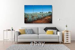 Tequila Landscape 3 Pieces Print on Canvas Wall Artwork Modern Photography Home