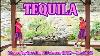 Tequila Line Dance Choreo By Caecilia M Fatruan Ina Jan 2022 Gloriadanceclubid