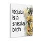 Tequila Is A Sneaky Bitch Quote Canva, Free Shipping, Mexican Party, Home Decor