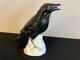 Very Rare Vintage Tequila Jose Cuervo Raven Decanter Made In Germany Withwarranty