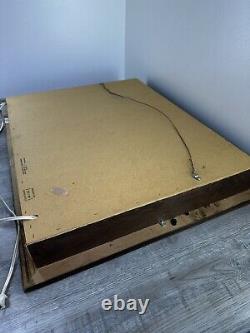 Vintage Tequiza Tequila Lighted Sign 32x 26 Bar Beer Pub Man Cave Agave Plant