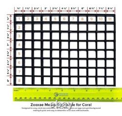 WYSIWYG Tequila Sunrise Mushroom Colony Large