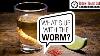Who Invented Tequila And What S The Deal With The Worm
